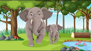 Haathi Raja Hindi Songs  Haathi raja khan chale cartoon video  Hindi songs  Chanchal Tv [upl. by Charita797]