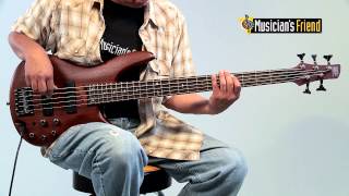 Ibanez SR505 5String Electric Bass Guitar [upl. by Sidwohl179]