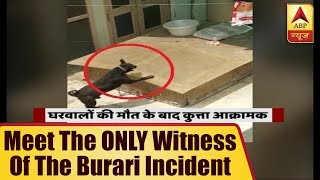 11 Burari Deaths Meet The ONLY Witness Of The Incident  ABP News [upl. by Ayocat]