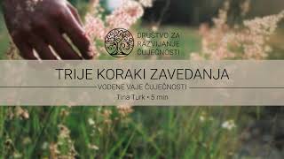 Trije koraki zavedanja  Tina Turk [upl. by Soph]