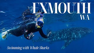 Exmouth and Cape Range  Snorkelling Hiking and Whale Sharks  Northwest Australia Roadtrip [upl. by Ertnod]