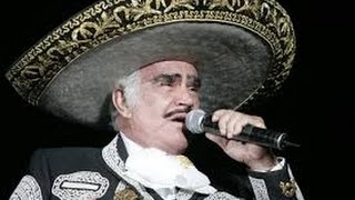 Guadalajara  Vicente Fernández  Karaoke [upl. by Meridel771]