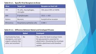 Viral Pathogenesis and Immune Response [upl. by Kronick287]