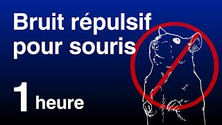 Bruit Répulsif pour Souris et Rats  Son Ultrasonore Inaudible Non compatible avec iPhone [upl. by Ayad]