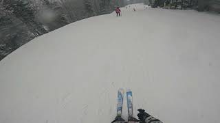 Racing down Gandy Dancer at Snowshoe Wv [upl. by Haerb]