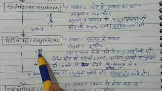 CLASS12C7PART14घोड़े का विकास Evolution of Horseसम्पूर्ण प्रक्रिया आसान भाषा में [upl. by Harned59]