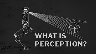 What is perception [upl. by Lesli]