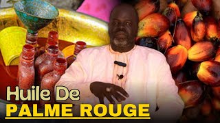 Bienfaits Huile De Palme Rouge  Diwe Tiir   Pr Ousmane Ndiaye  LansarrTV [upl. by Neema]