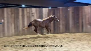 2023 Filly Gunnatrashya x Starbucks Deja Vu [upl. by Ailaht376]