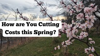 Top moneysaving tricks for Spring 2024 [upl. by Lamond896]