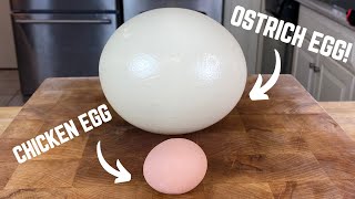 The Ostrich Egg Exploded Before I Could Slice It 🥲 shorts [upl. by Eirroc317]