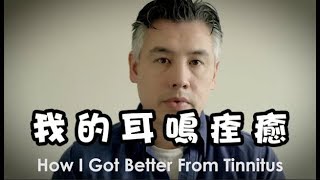 耳鳴的聲音完全消失了 耳鳴康復的治癒經驗談 How I Got Better From Tinnitus [upl. by Ina]