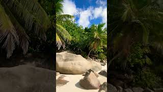 Seszele 😍travel travelvlog shortvideo shorts palm beach seychelles asia views 2024 [upl. by Alemap]