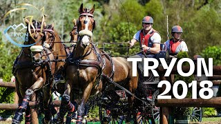 RELIVE  Driving Marathon  Tryon 2018  FEI World Equestrian Games™ [upl. by Atilef]