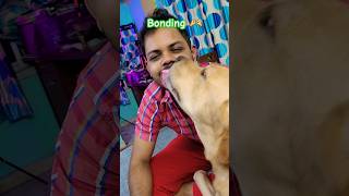 Meri soa bimariyoka 🥰dog doglover love dogs shortvideo purelove doglove dogshorts ytshorts [upl. by Asilehc]