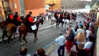 Sfilata dei costumi tradizionali sardi a cavallo [upl. by Hennessey]