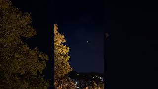 🦇 Pipistrelle bats 🦇 feeding in moonlight around Ventnor [upl. by Aicnelav]