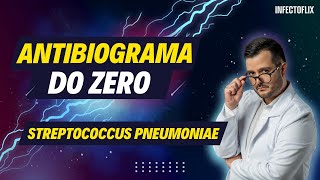 Dominando Antibiogramas do Zero  Streptococcus pneumoniae [upl. by Yrtneg]