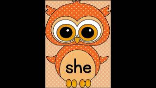 Learn 10 Dolch Primer Sight Words with Orange Owl Theme Set 1  Fall Sight Word Practice for K2 [upl. by Damian620]