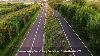 Dunkettle to Carrigtwohill Pedestrian and Cycle Route Phase 1 [upl. by Karoline]