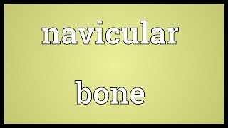 Navicular bone Meaning [upl. by Idac731]