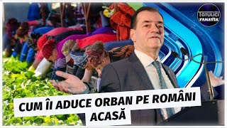 ”DIASPORA VA VENI ACASA” PLANUL lui Ludovic Orban pentru ROMANII DIN STRAINATATE [upl. by Reeve]