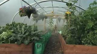 Water water everywhere in the Polytunnel  V54 [upl. by Raybin756]