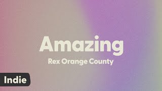 Rex Orange County  AMAZING lyrics [upl. by Stacee]