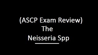 Neisseria spp ASCP Exam Review [upl. by Willcox]