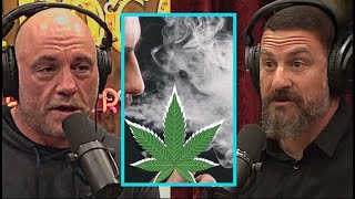 Joe Rogan on How Weed Affects Disciplined People [upl. by Mozza755]