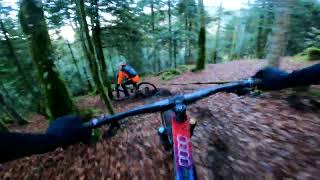 VTT enduro mirkwood 4 reshape [upl. by Llecram]