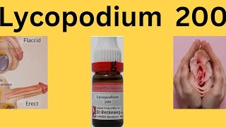 Lycopodium Homeopathic medicine Lycopodium Clavatum 30 ch uses in Hindi Lycopodium 200 Uses [upl. by Valentin]