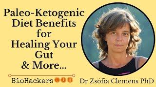 PaleoKetogenic Diet Benefits  Advanced Tips • Dr Zsofia Clemens [upl. by Edmond]