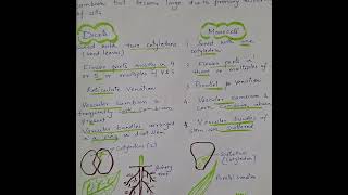 Monocots vs Dicots The Ultimate differences [upl. by Ydnat]