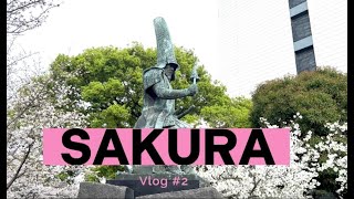 Sakura di kumamoto vlog 02 [upl. by Gibe]