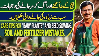 Care Tips for quotBABY PLANTSquot amp Seed Sowing Soil amp fertilizer mistakes  Gardening With Javed Iqbal [upl. by Brina]