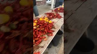 Louisiana Gold Crawfish Boil Cajun Cuisine Swamp People Bayou Life Swamp Living Seafood [upl. by Backler]