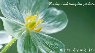 Vietsub Lyrics Jonghyun  Diphylleia Grayi  Skeleton Flower 종현  산하엽 [upl. by Fia743]