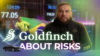 Goldfinch finance Goldfinch protocol Macro Currency and Regulatory risks explaining Part 2 [upl. by Felt]