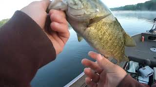 Drop Shot Fishing For Bass in 80 DEGREE Water Temps [upl. by Let]