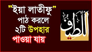 ইয়া লাতিফু পাঠ করলে কি হয় ইয়া লাতিফু নামের আমল ও ফজিলত  ya latifu name amol and fojilot [upl. by Klockau183]