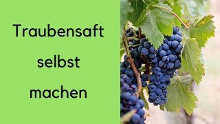 Traubensaft selber machen how to 2 [upl. by Einreb769]