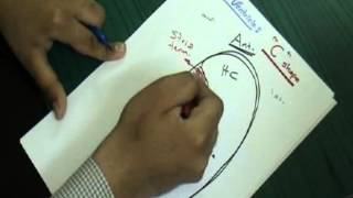 6Neuroanatomy Anatomy of lateral ventricle of the brain mixed arabic 2007 [upl. by Ainesej]