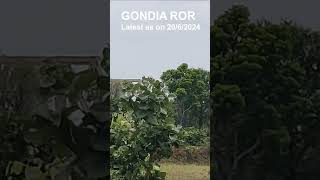 Gondia ROR Q Curve Latest shorts [upl. by Ymma]