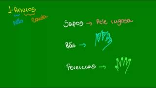 Características gerais dos Anfíbios  Vertebrados  Biologia [upl. by Dominik]