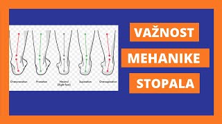 MEHANIKA STOPALA spušteno stopalo podignuto stopalo [upl. by Inoliel]