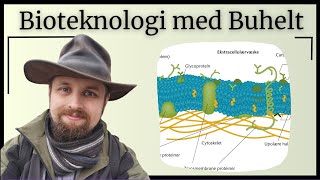 Bioteknologi  Cellemembranen og membrantransport [upl. by Nrek]