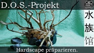 Hardscape präparieren  DOSProjekt [upl. by Ivanna]