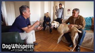 Can Cesar Calm This Aggressive Rescue Dog  S4 Ep 11  Dog Whisperer With Cesar Millan [upl. by Lana692]