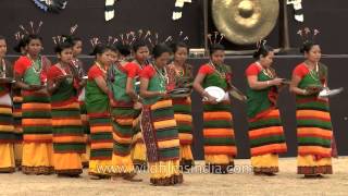 DimasaKachari women perform plate dance [upl. by Constantia]